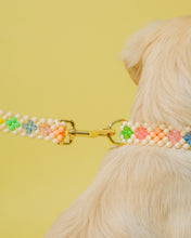 Load image into Gallery viewer, Dog Leash