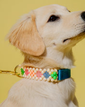 Load image into Gallery viewer, Dog Collar