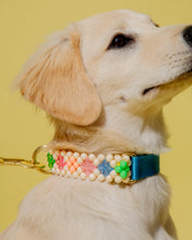 Load image into Gallery viewer, Dog Collar and Leash