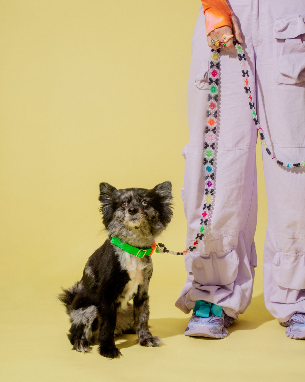 Dog Collar and Leash