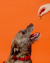 Load image into Gallery viewer, Dog Collar