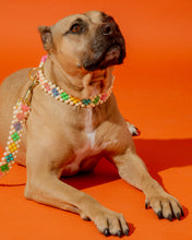 Load image into Gallery viewer, Dog Leash