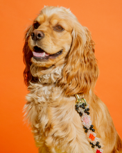 Load image into Gallery viewer, Dog Leash