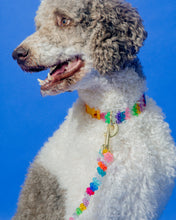 Load image into Gallery viewer, Dog Leash