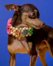 Load image into Gallery viewer, Dog Collar