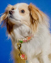 Load image into Gallery viewer, Dog Leash