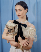 Load image into Gallery viewer, Dog Collar