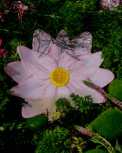 Load image into Gallery viewer, Waterlily Plates