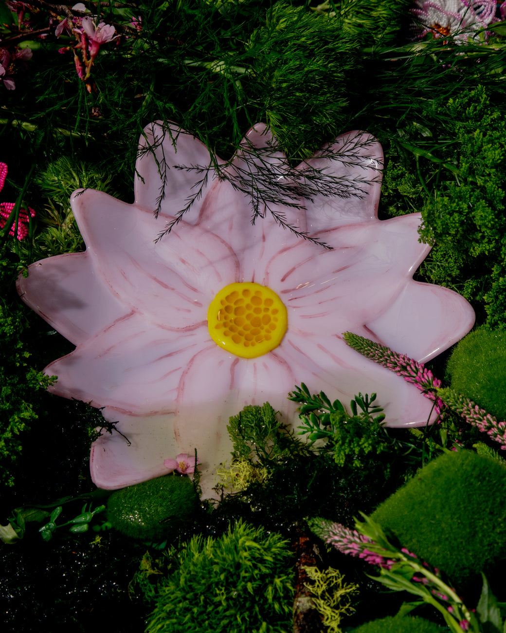 Waterlily Plates