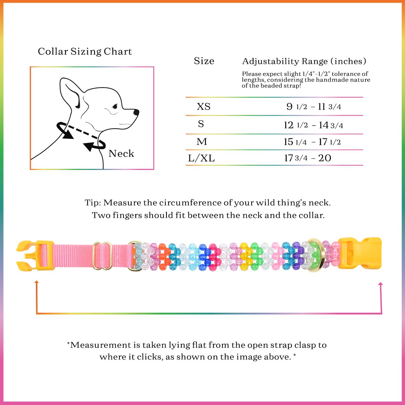 Dog Collar and Leash