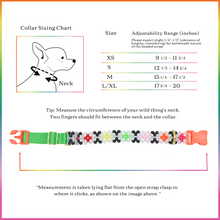 Load image into Gallery viewer, Dog Collar and Leash