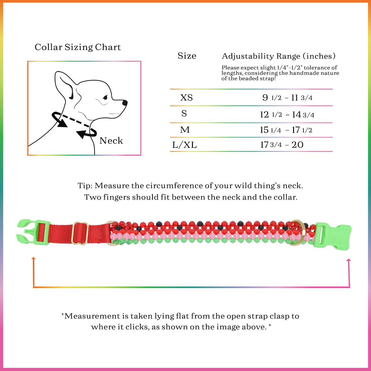 Dog Collar and Leash